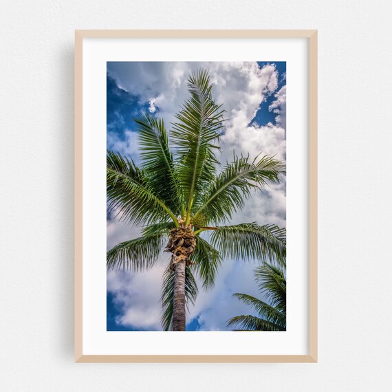 Key West Florida Single Palm Tree Against Blue Cloudy Sky Poster