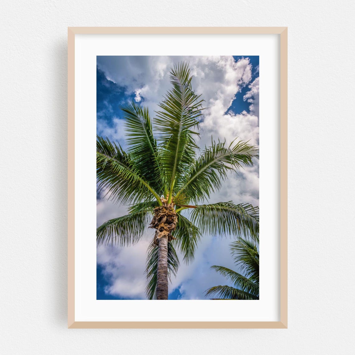 Key West Florida Single Palm Tree Against Blue Cloudy Sky Poster
