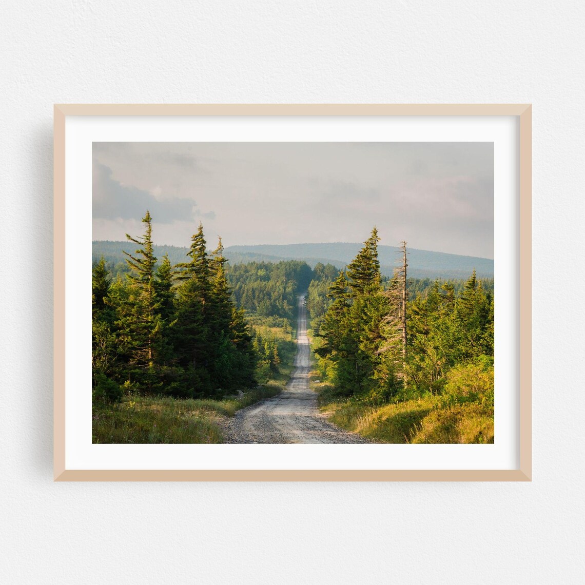 West Virginia Gravel Forest Road Mountain Landscape Nature Scenic Poster