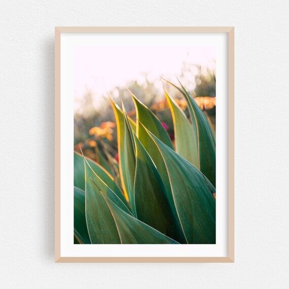 Huntington Beach Print Wall Art Botanical Framed Nature Home Decor Tropical Poster Garden Fine Abstract Minimalist