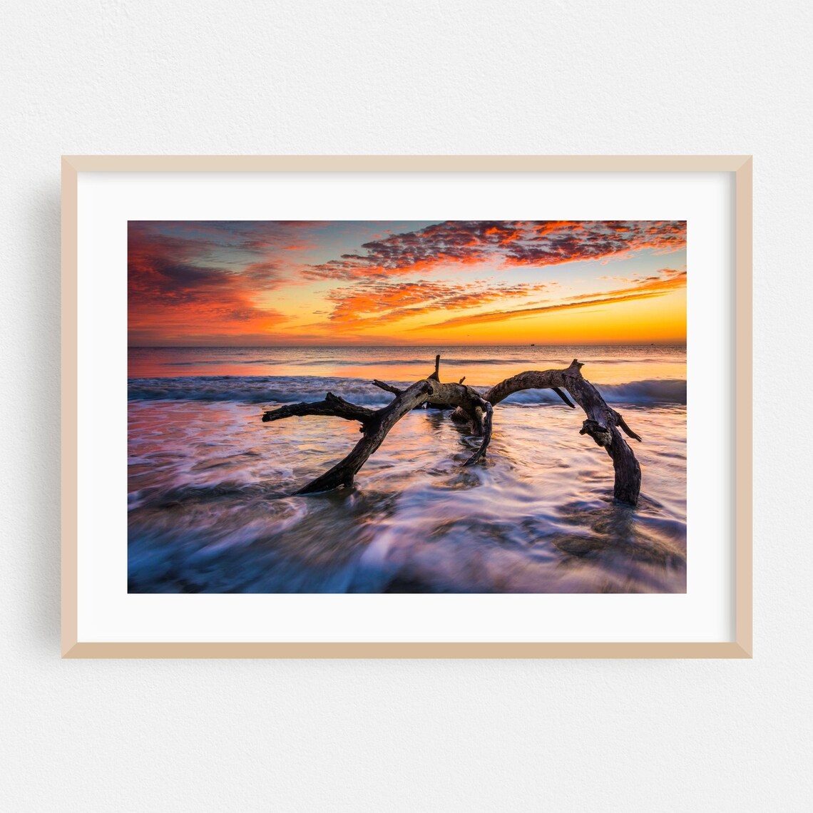 Savannah Georgia Driftwood Beach Fiery Ocean Sunset Photo Poster