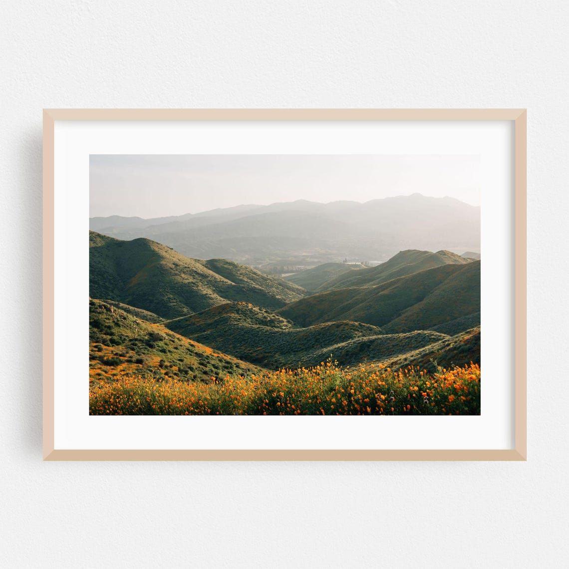 Wildflower Hills Orange Blooms Mountain View Photography Poster