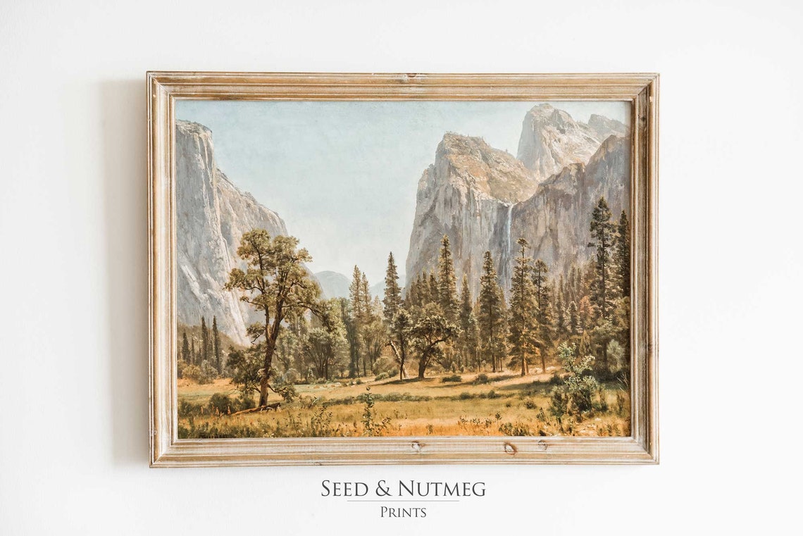 Yosemite Valley Granite Cliffs Pine Forest Vintage Landscape Poster