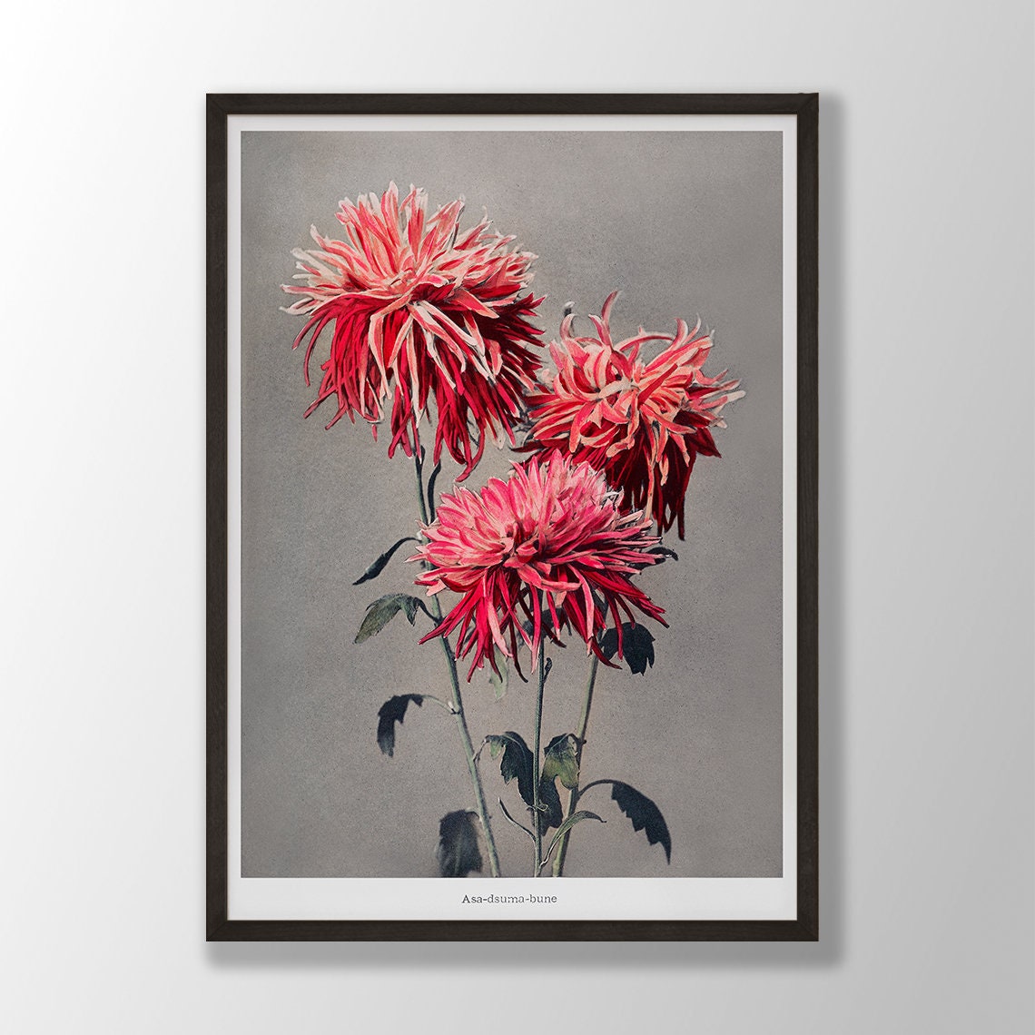 Asa Dsuma Bune Red Spider Chrysanthemum Japanese Vintage Art Poster