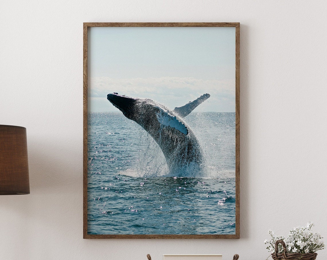 Humpback Whale Breaching Blue Ocean Splash Photography Poster