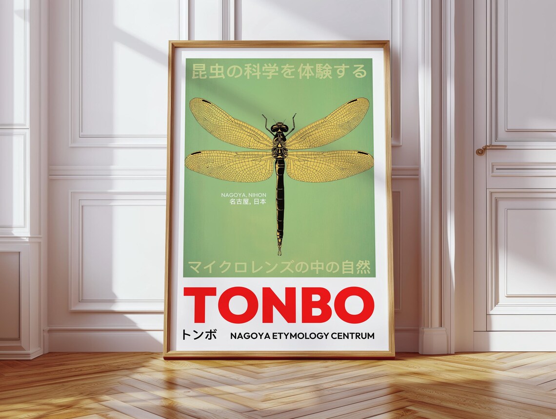 Japanese Dragonfly, Vintage Entomology Art Print - Image 3