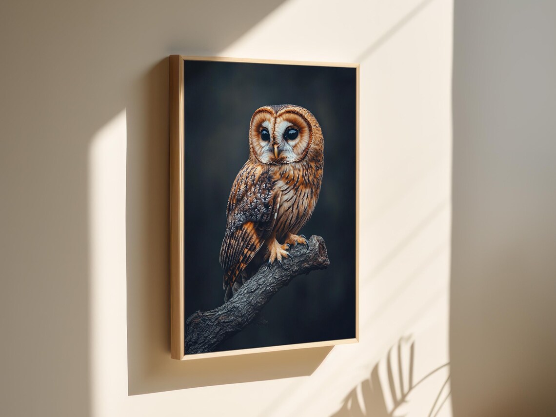 Tawny Owl Portrait on Branch Dark Moody Wildlife Wall Art Poster - Image 2