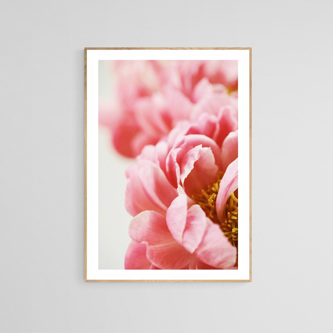 Peony Photograph, Botanical Floral Art Print