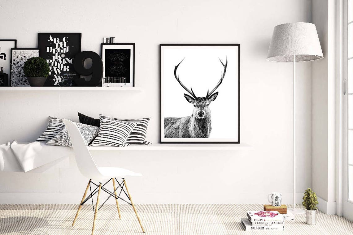 Stag Deer Antlers Black White Close Up Wildlife Portrait Poster - Image 3