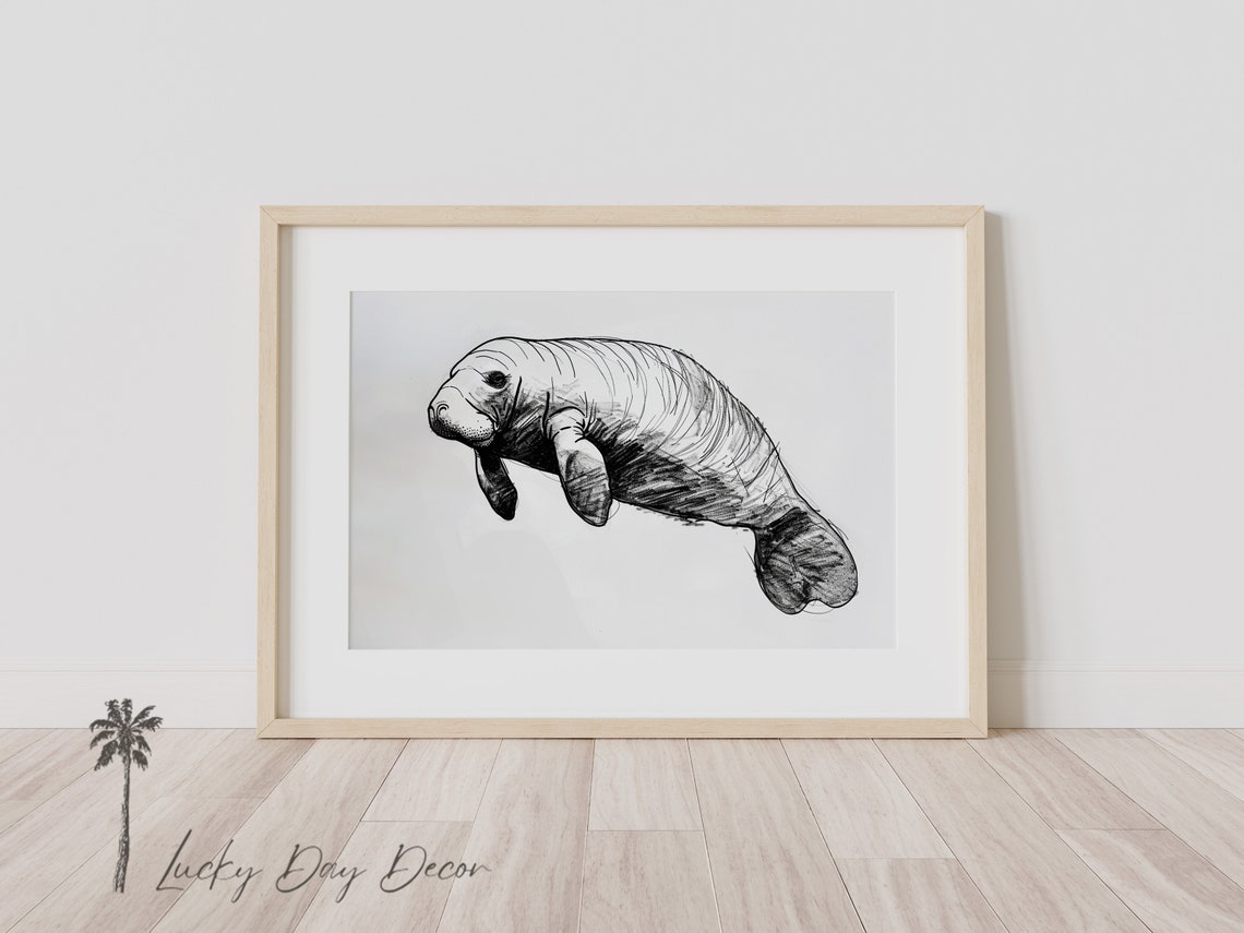 Save the Manatee Pencil Sketch Black and White Sea Cow Poster