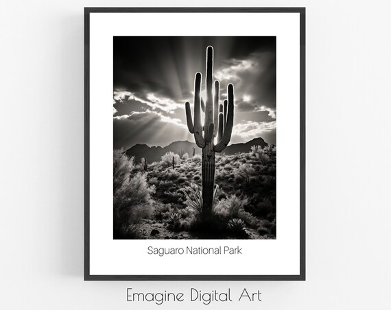 Saguaro National Park Black And White Cactus Desert Photo Poster