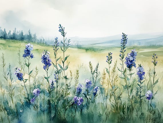 Temecula Wildflowers Watercolor Painting Print Spring Meadow Wall Art Flowerfield Canvas Botanical Artwork By Nataliaayuart