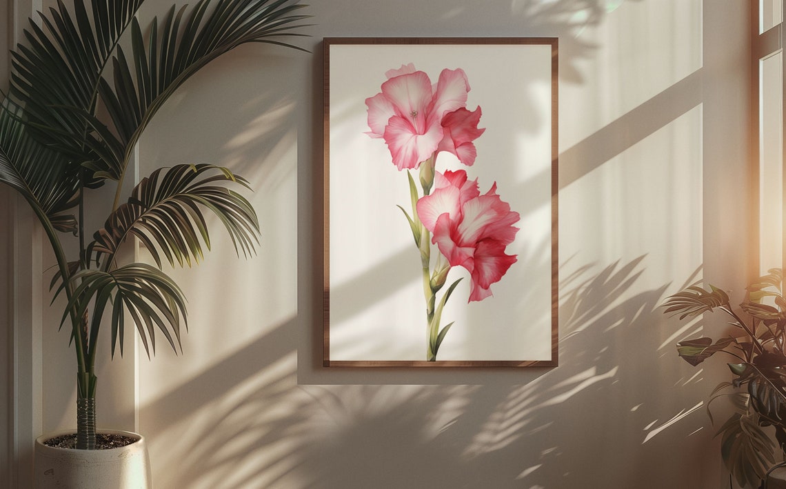 Pink Gladiolus Twin Blooms Watercolour Botanical Flower Poster - Image 8