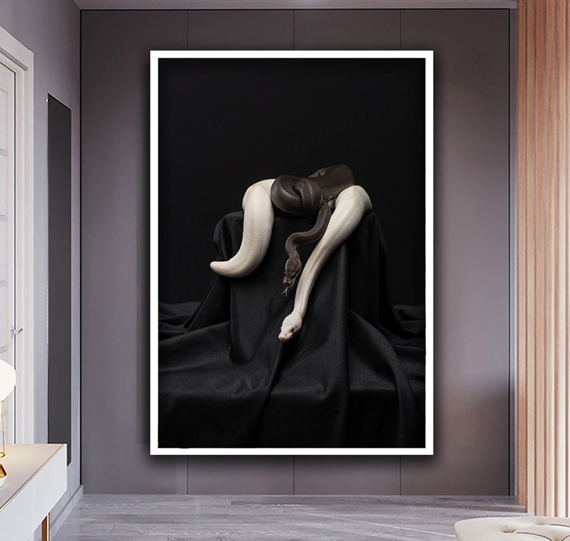 Two Snakes Black White On Dark Cloth Dramatic Reptile Photo Art Poster