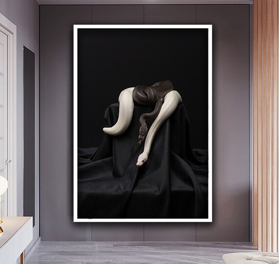 Two Snakes Black White On Dark Cloth Dramatic Reptile Photo Art Poster