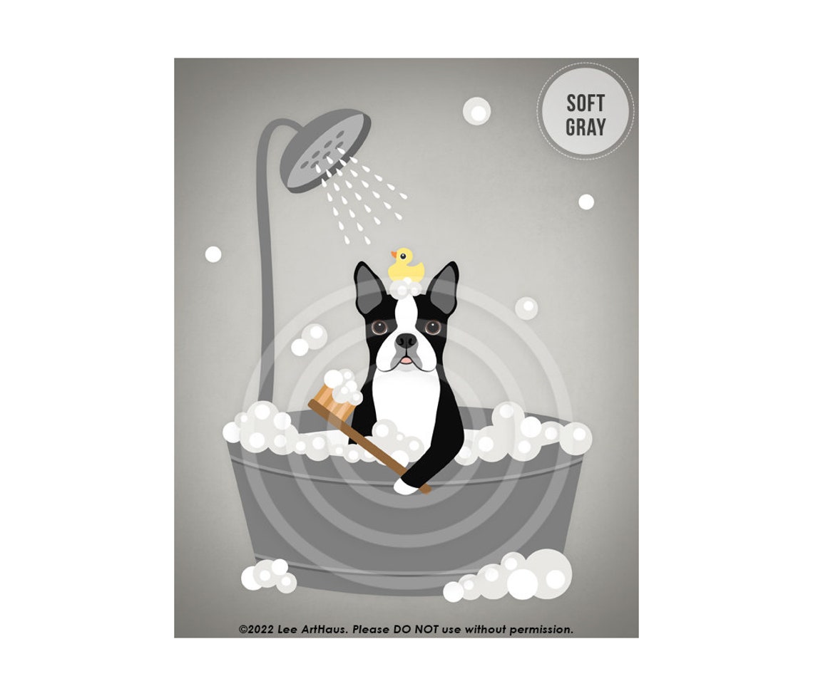 Boston Terrier Gray Metal Tub Shower Funny Bathroom Dog Art Poster - Image 3