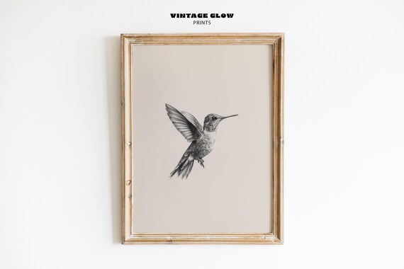 Hummingbird Sketch Art Print, Vintage Bird Nursery Decor
