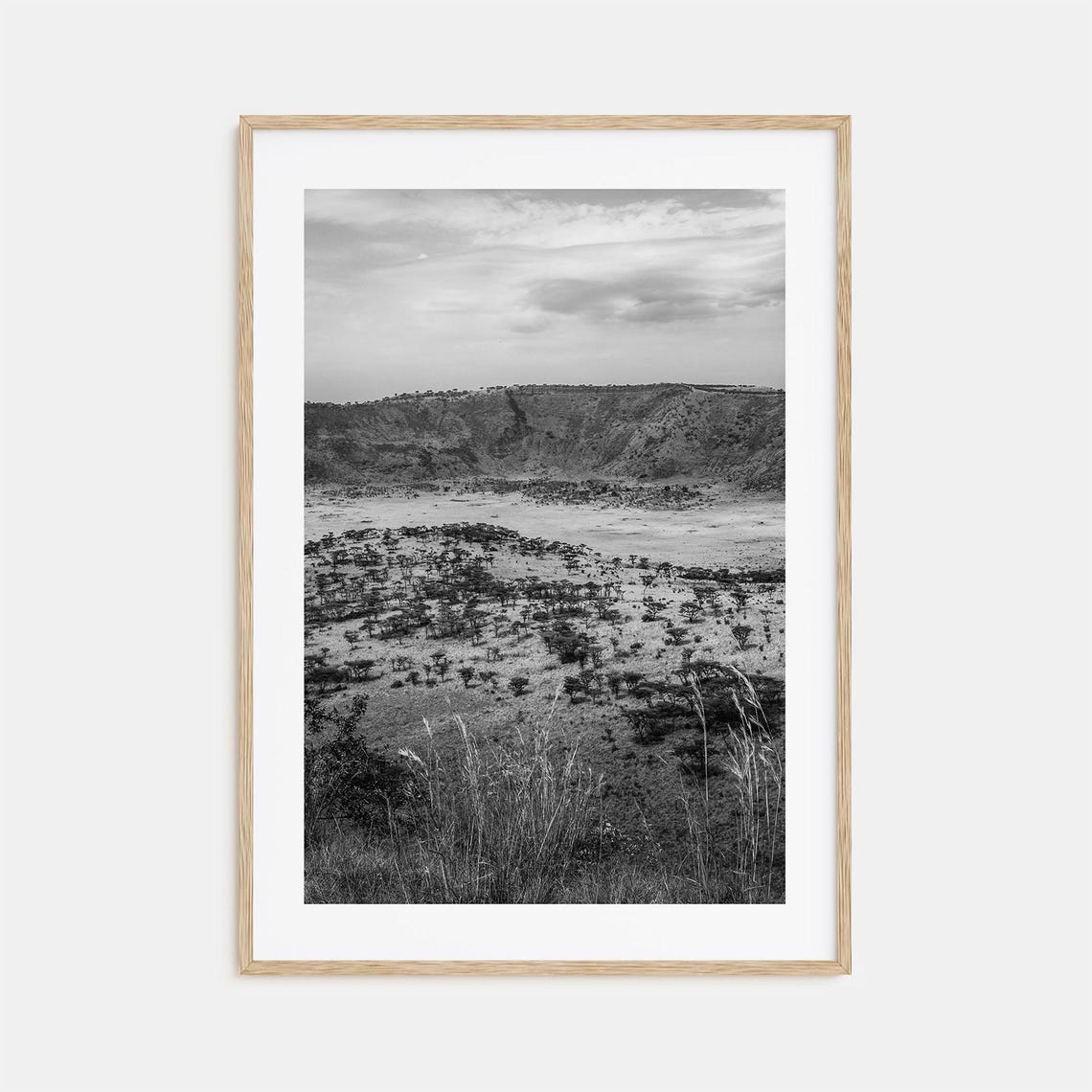 Uganda Savanna Crater Landscape Acacia Trees Black And White Poster