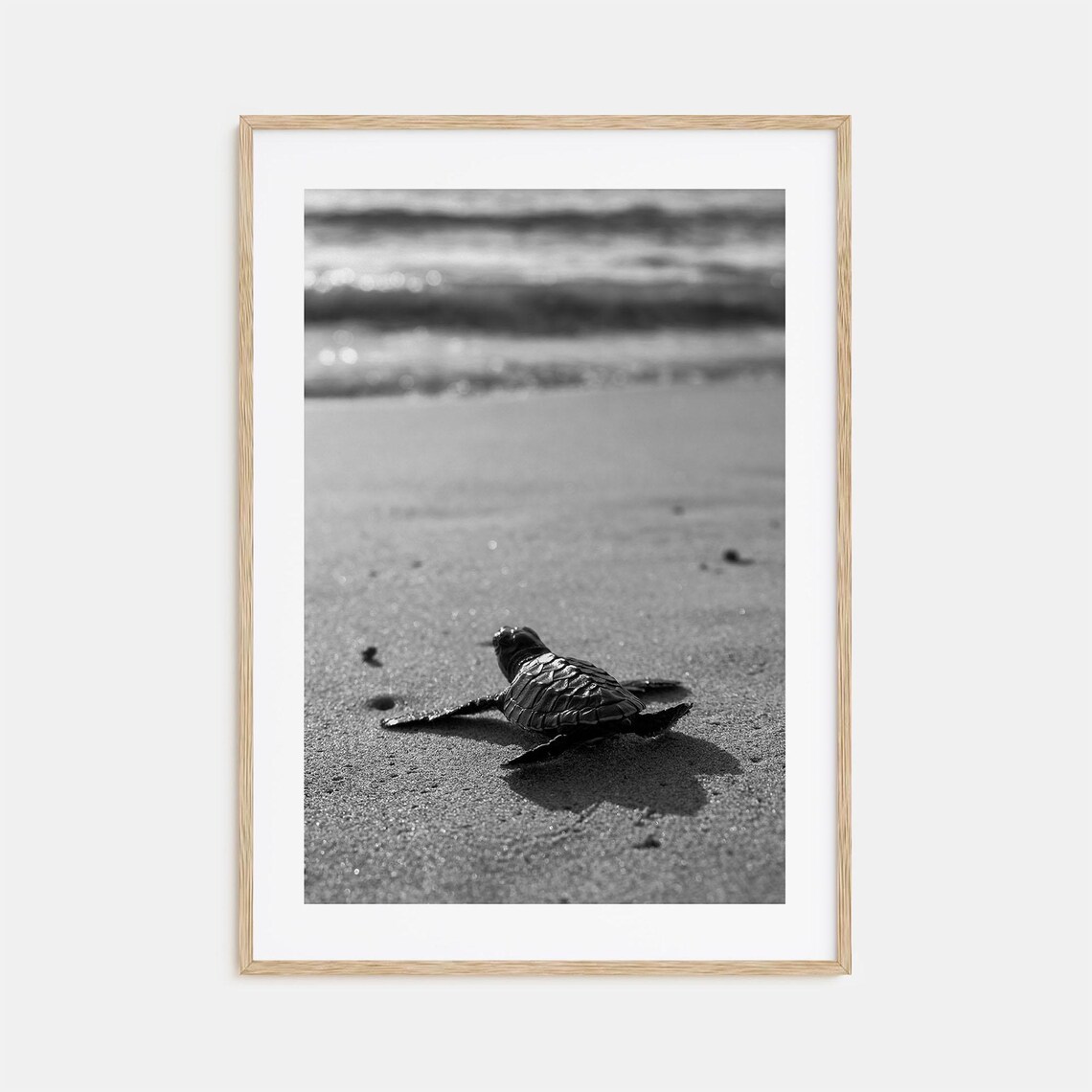 Baby Turtle Photo Poster Print Baby Turtle Black And White Art Baby Turtle Wall Photography Baby Turtle Travel Baby Turtle Map Poster