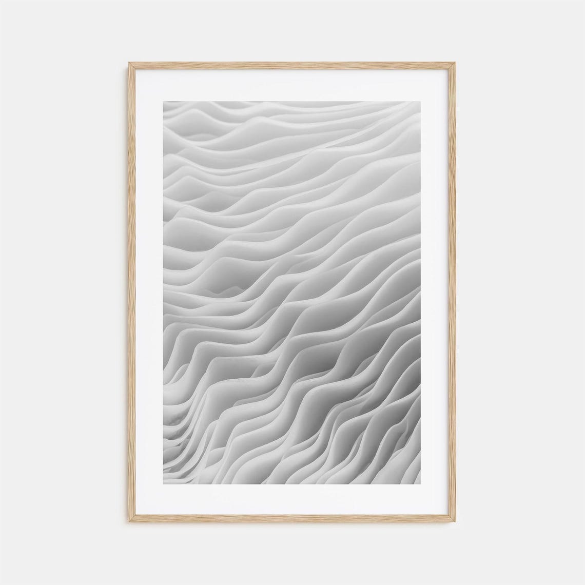 Macro Texture Of Mushroom Gills Abstract Black And White Poster