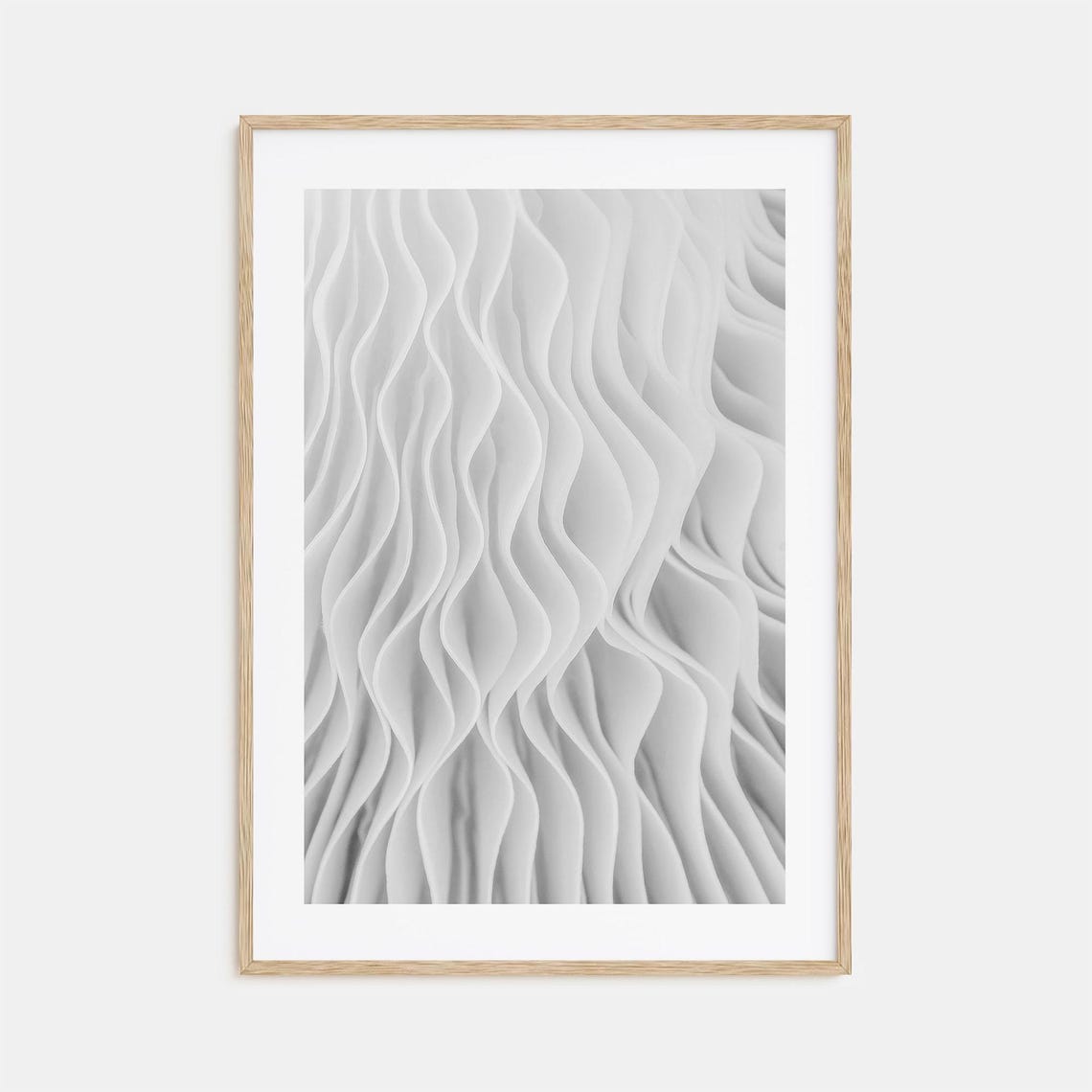 Mushroom Gills Macro Abstract White Texture Detail Photo Poster