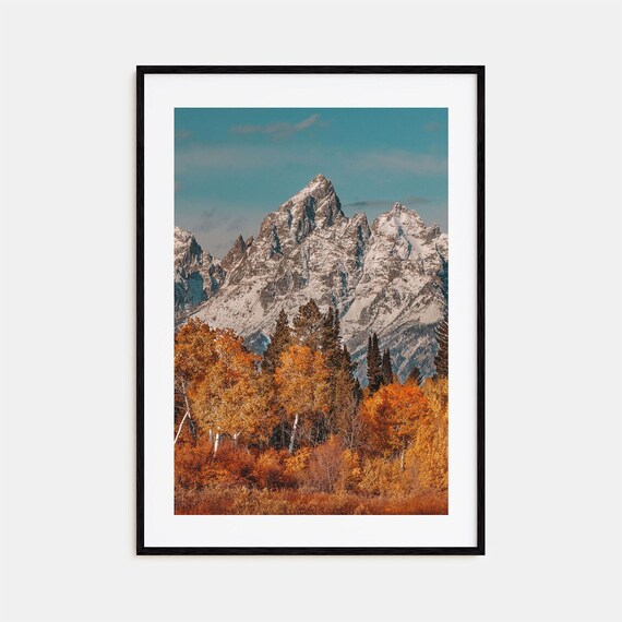 Grand Teton Snowy Peaks with Golden Autumn Trees Morning Print