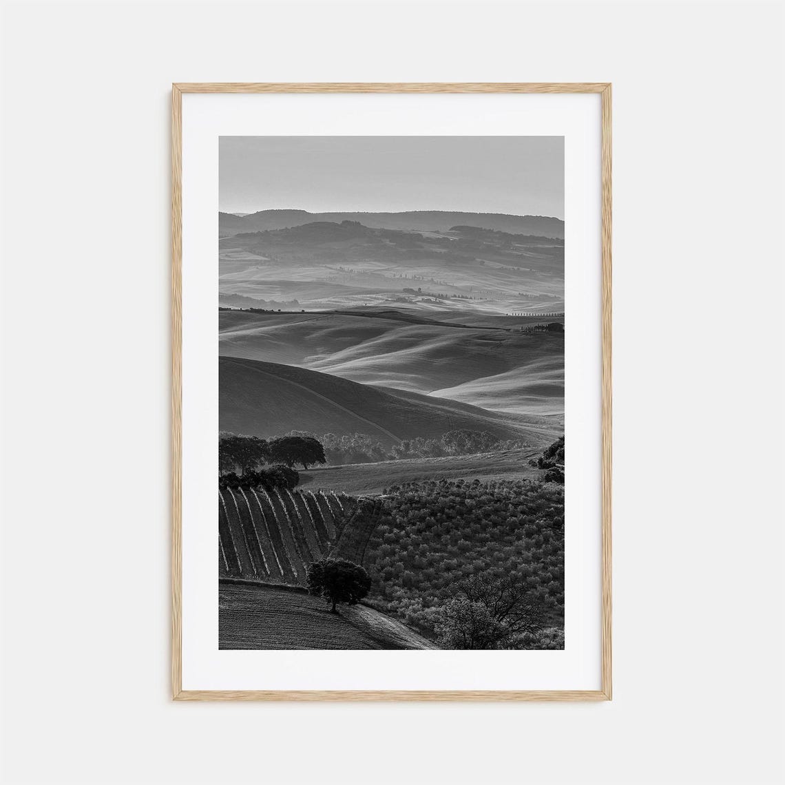 Misty Rolling Vineyard Hills In Layers Black And White Poster