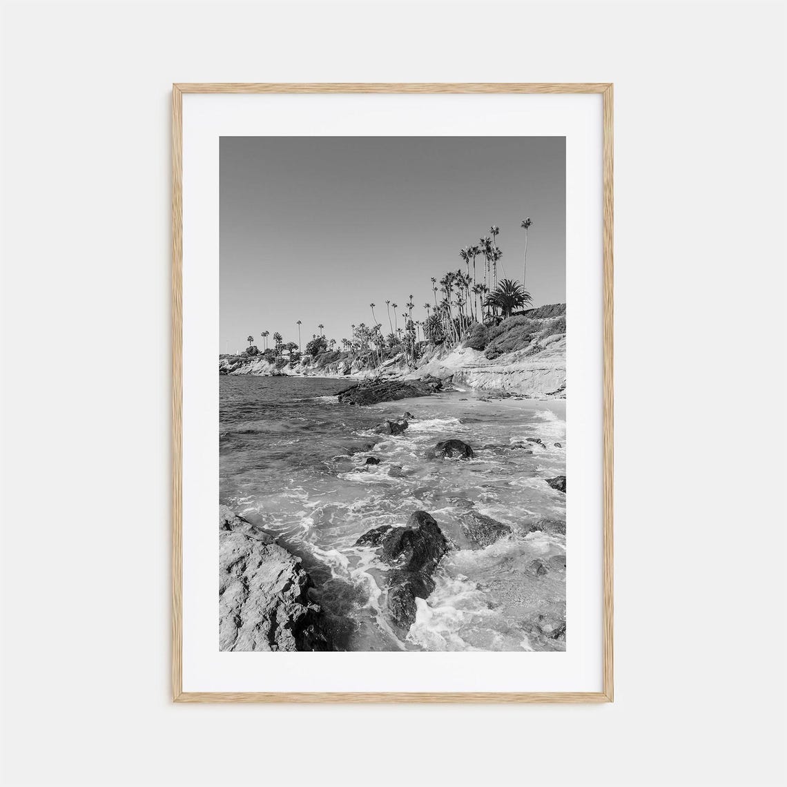 Palm Tree Rocky Beach Shoreline Black White Coastal Art Poster