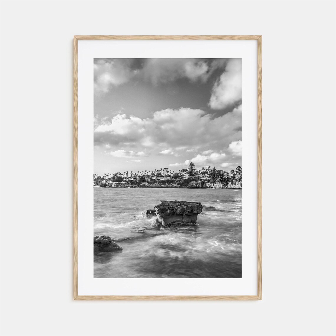 Bird Rock Rocky Coastline Waves Black and White Photo Poster
