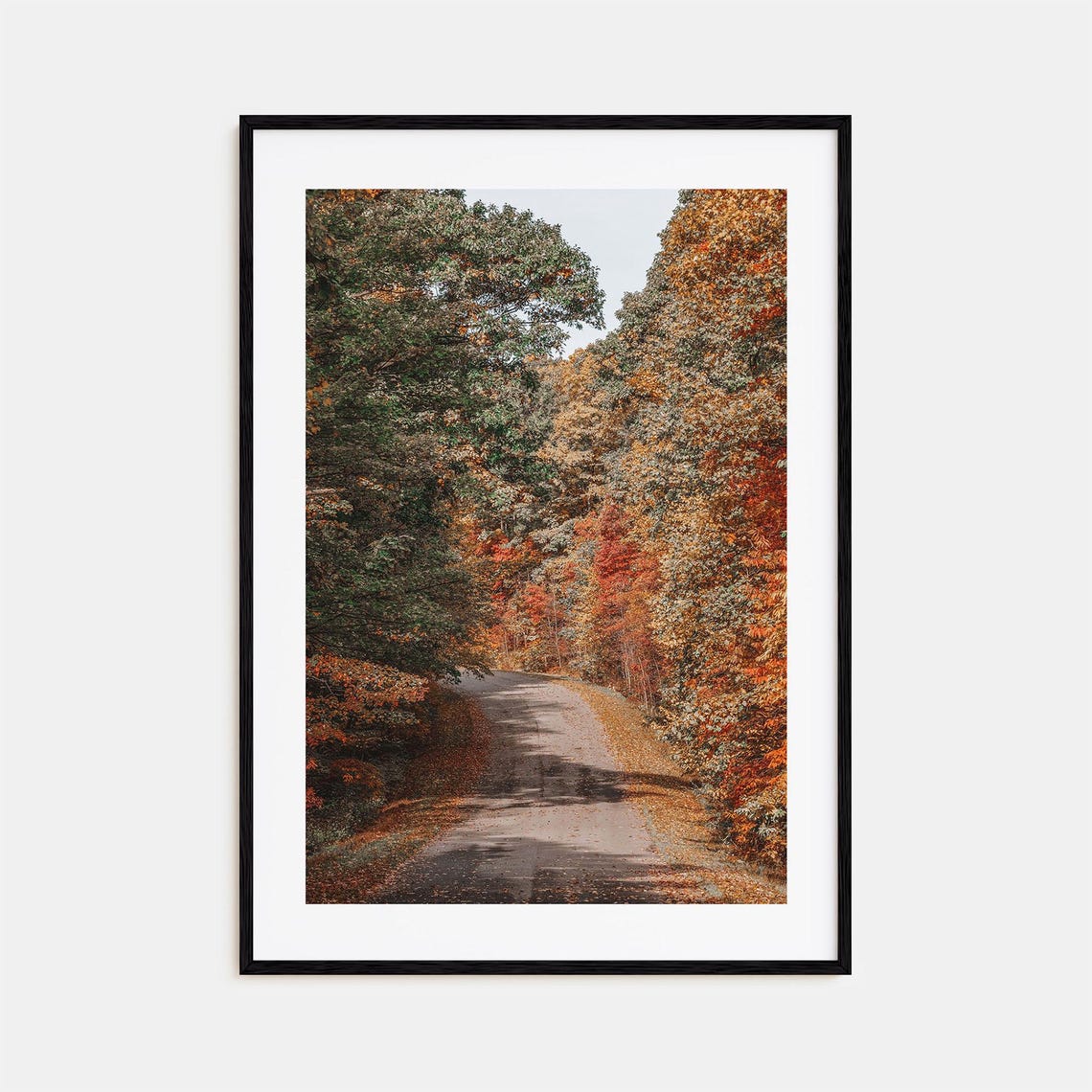 Morgantown Autumn Country Road Colorful Fall Foliage Trees Poster
