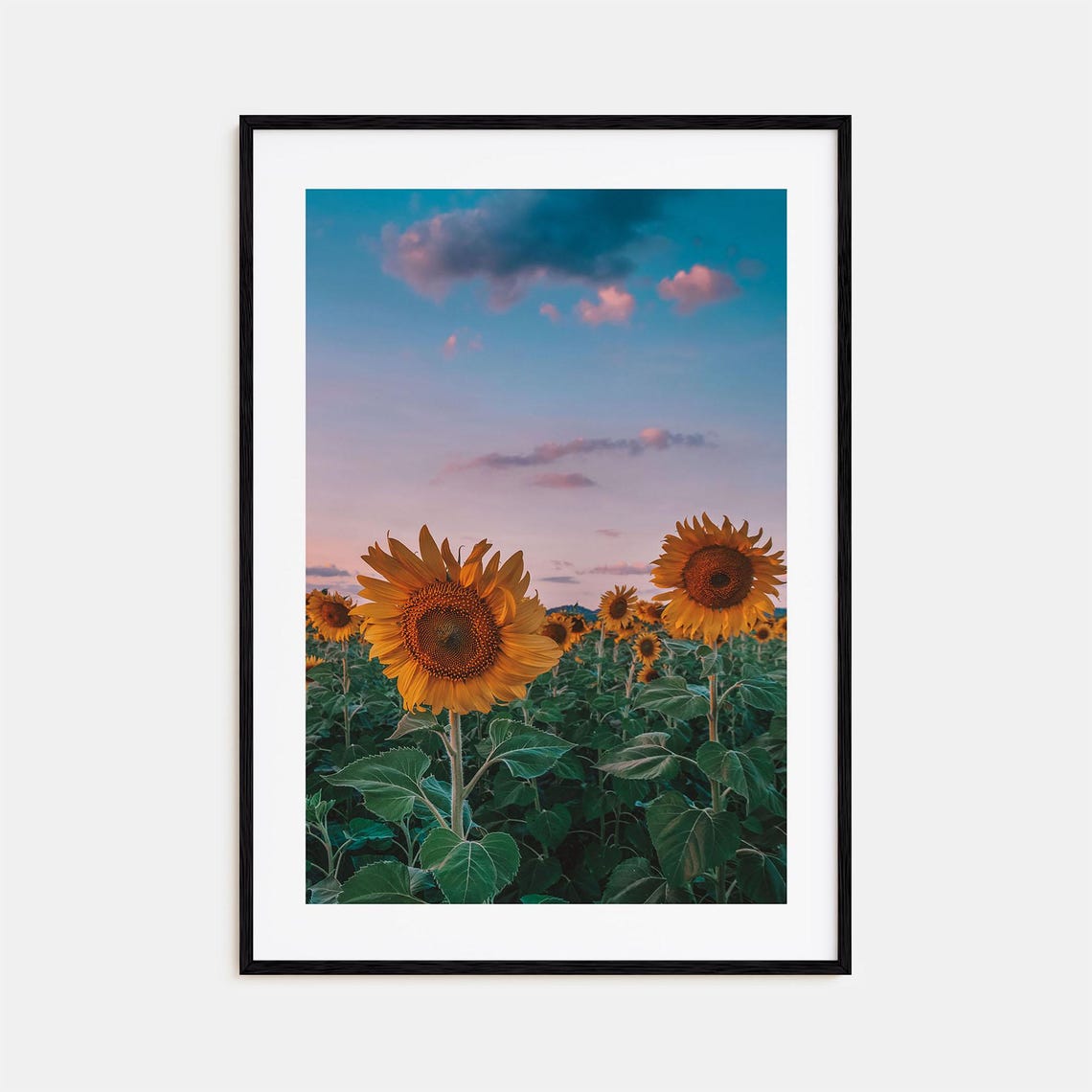 Sunflower Field Sunset Bloom Pink Sky Nature Photo Art Print