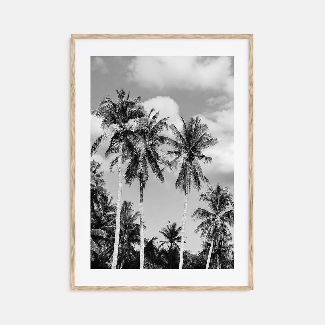 Palm Springs Desert Palm Trees Black And White Art Cloud Sky Poster