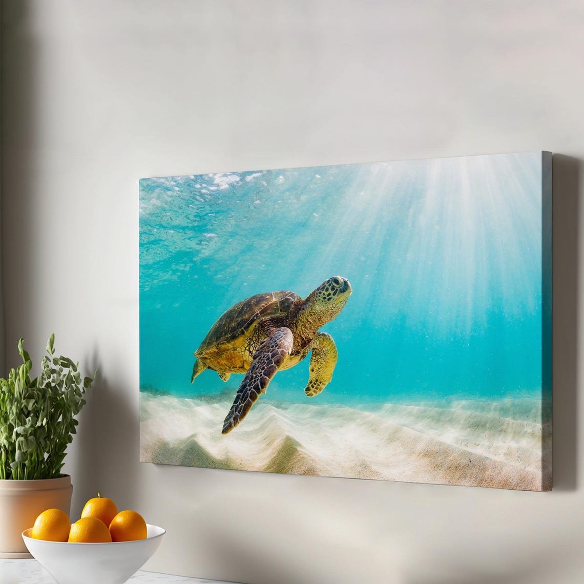 Sea Turtle Underwater Canvas Photo Turquoise Ocean Sun Rays Print