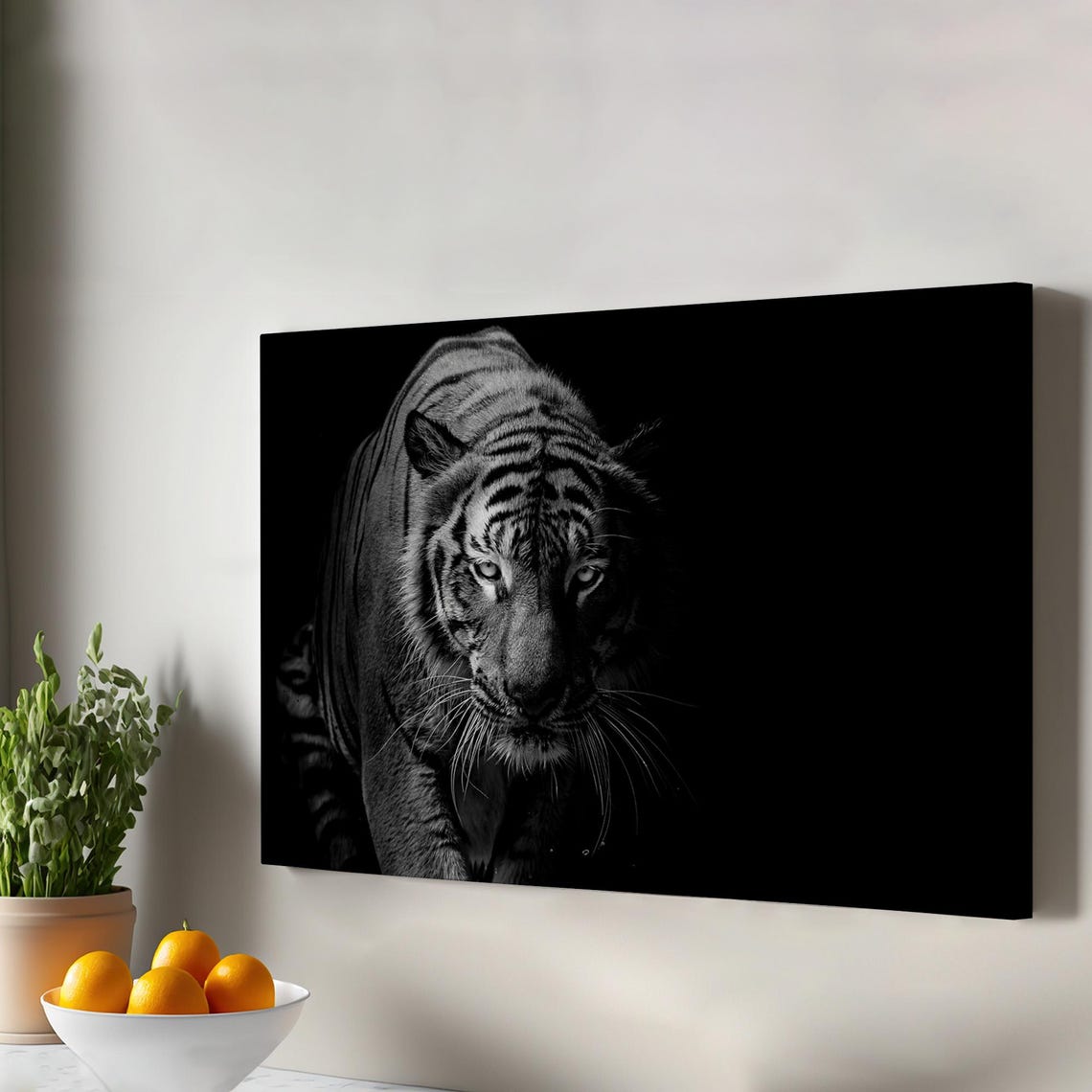 White Tiger Black Background Dramatic Wildlife Portrait Photo Poster