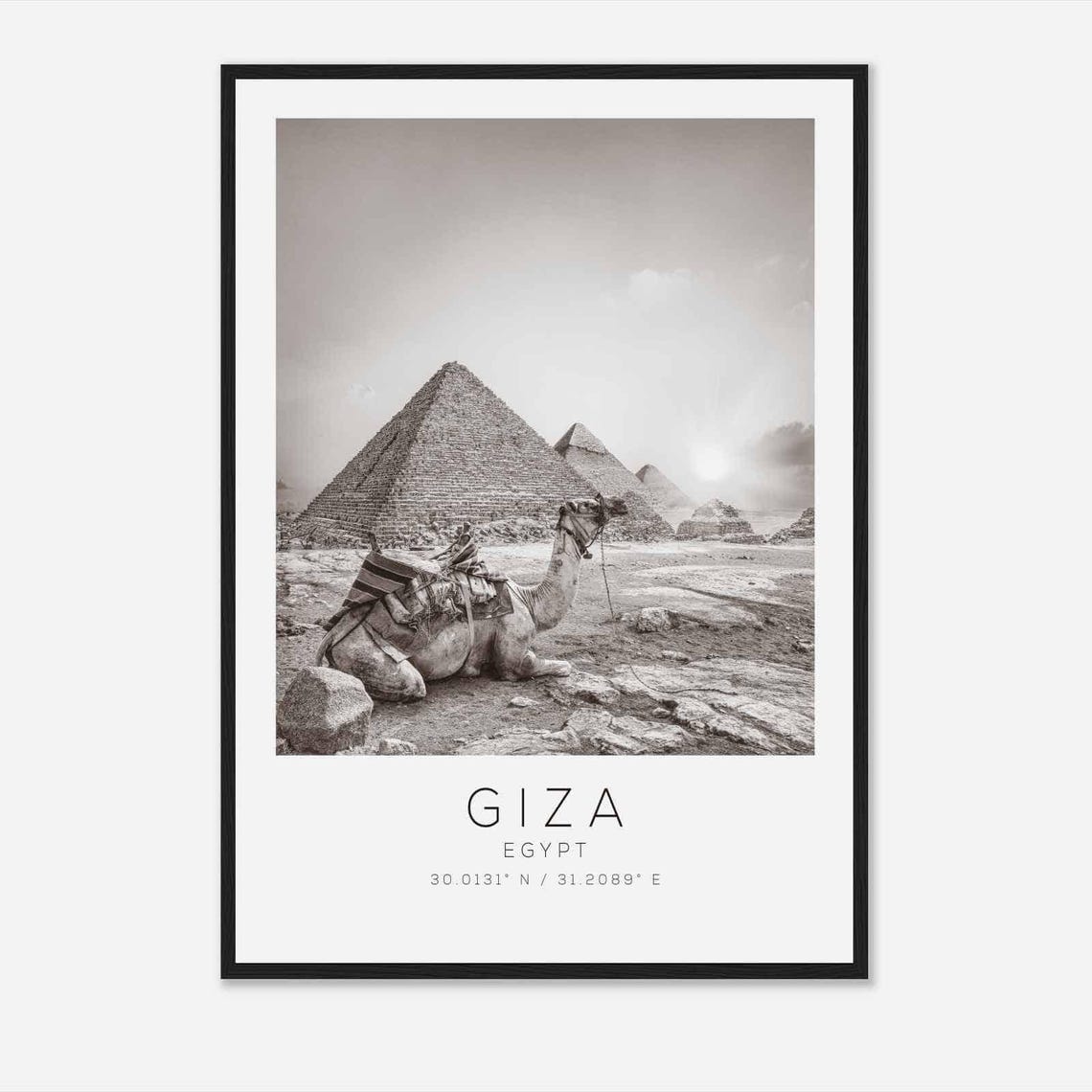 Giza Egypt Black and White Pyramids Camel Desert View Poster