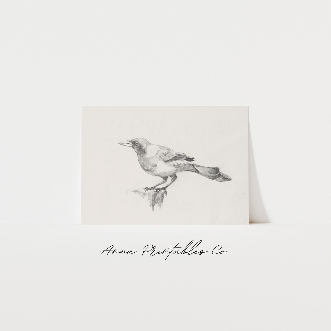 Jay Bird Pencil Sketch Minimalist Wildlife Art Drawing Print - Image 2