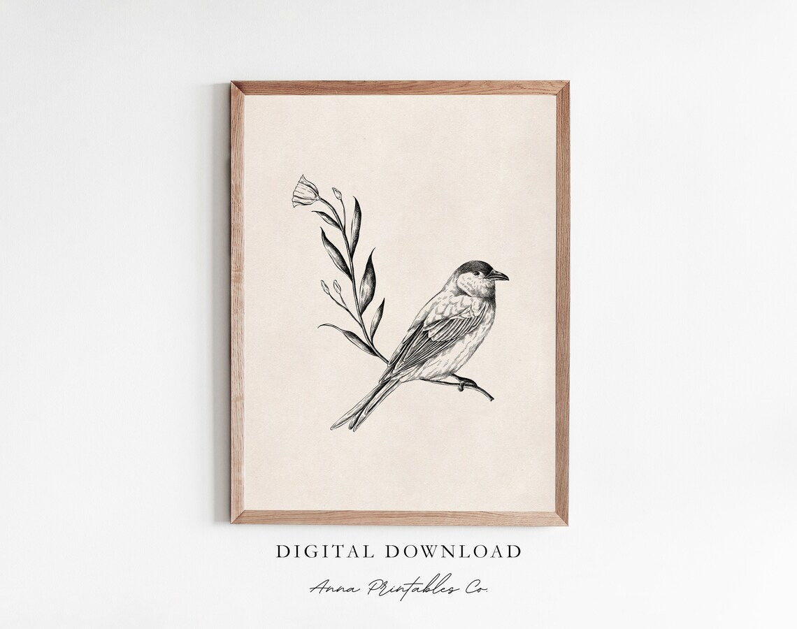 Vintage Bird Illustration Art Print, Light Academia Decor