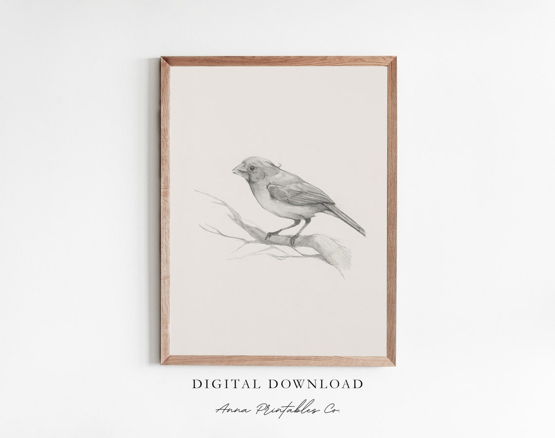 Songbird Branch Pencil Sketch Minimalist Bird Drawing Poster