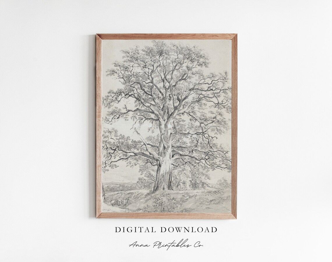 Great Oak Tree Antique Sketch Print, Rustic Farmhouse