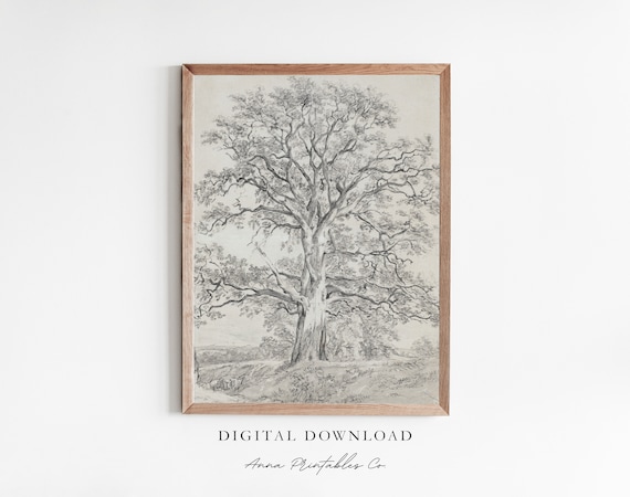 Great Oak Tree Antique Sketch Print, Rustic Farmhouse