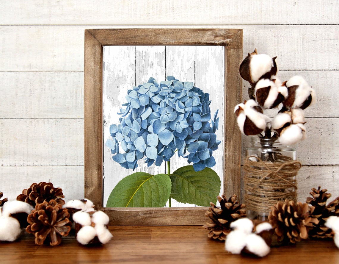 Blue Hydrangea Whitewashed Wood Rustic Floral Botanical Poster - Image 2