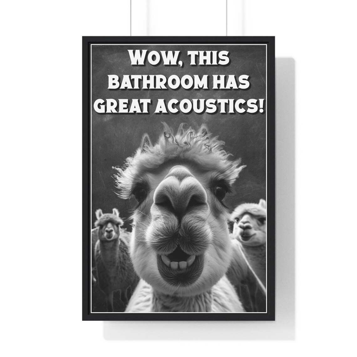 Black And White Goofy Alpaca Selfie Great Acoustics Funny Bathroom Poster