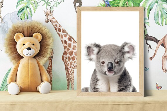 Adorable Baby Koala Portrait in Soft Color Nursery Style Poster