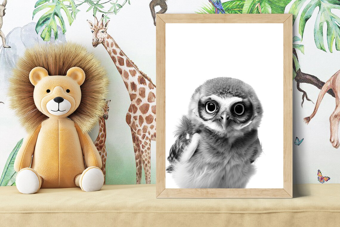 Wide-Eyed Baby Owl Portrait in Black and White Nursery Poster