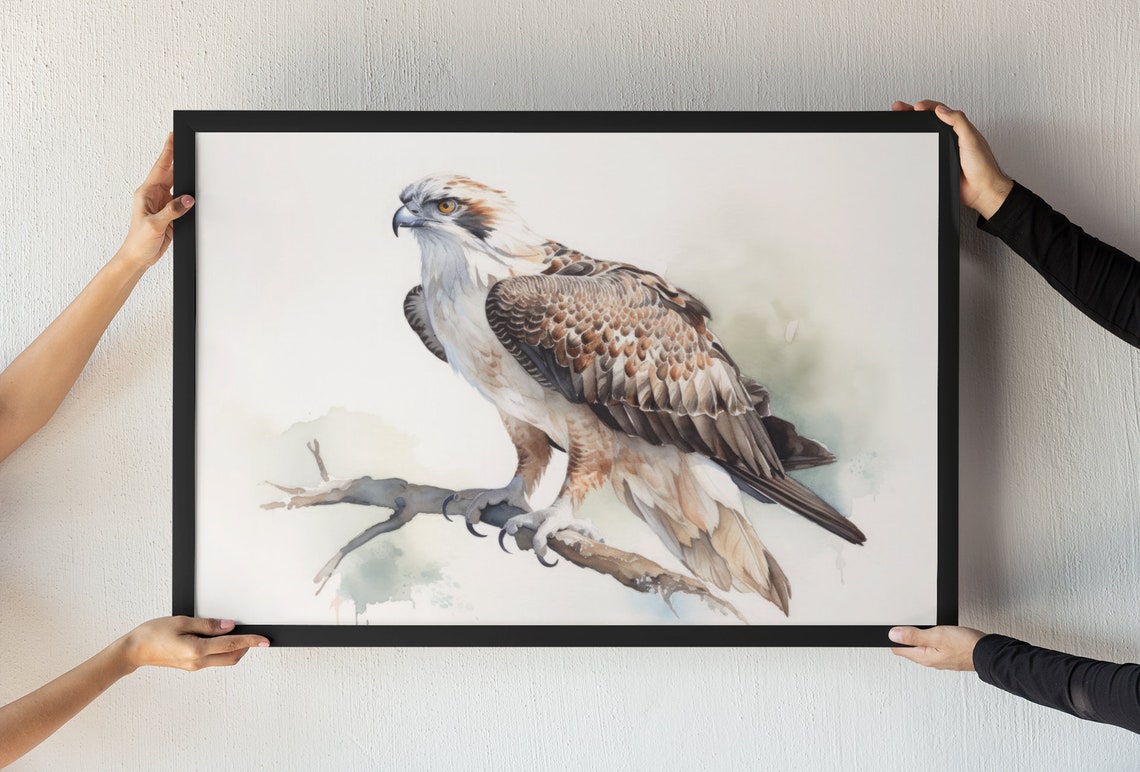 Osprey Raptor Perched on Branch Realistic Watercolor Bird Art Print
