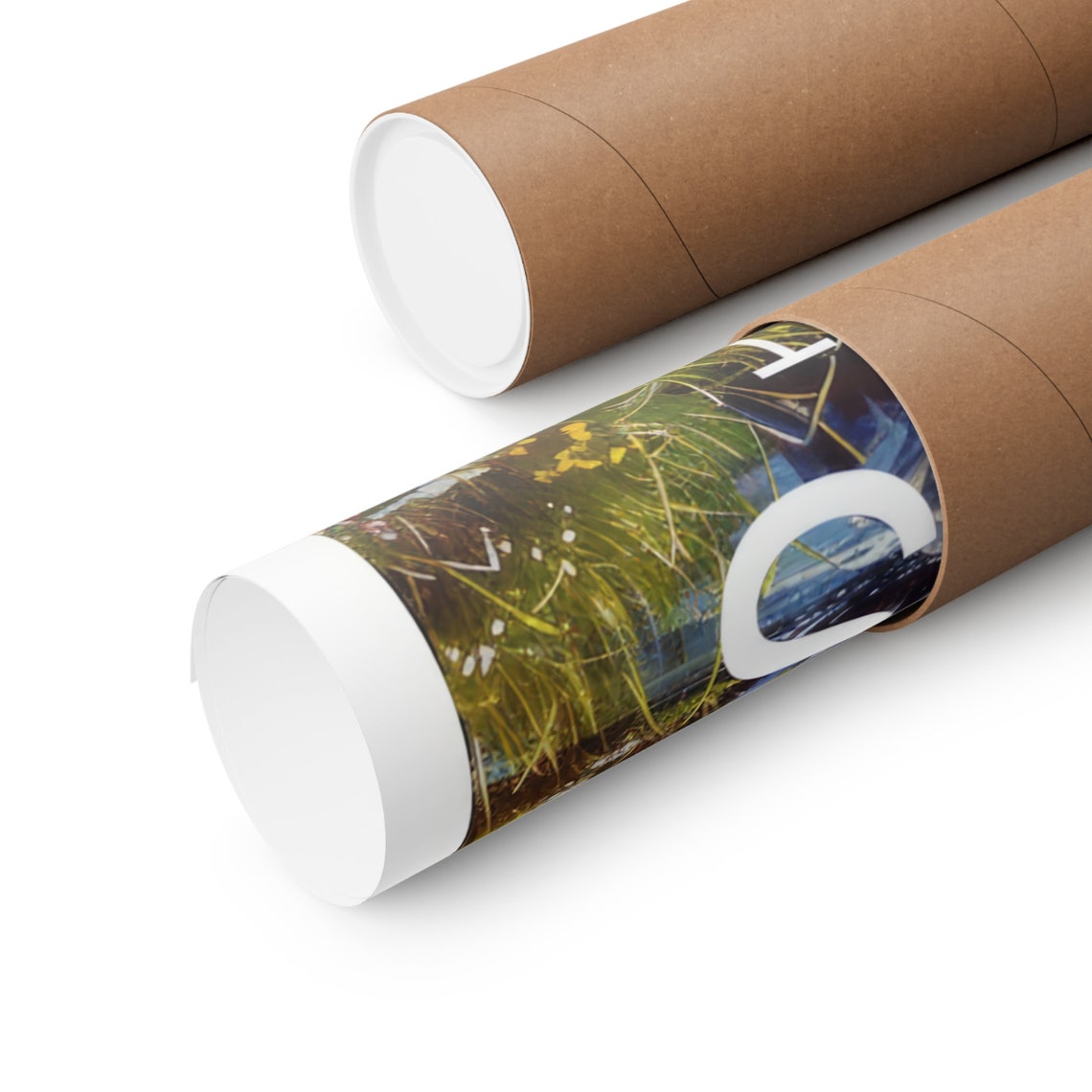 Plumas National Forest Snowy Alpine Peaks Meadow Stream Valley Poster - Image 2