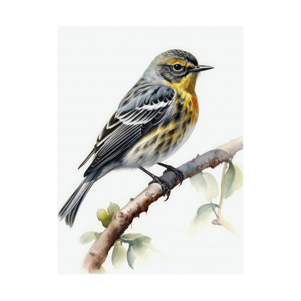 Yellow Rumped Warbler Bird Watercolor Perched Branch Fine Art Poster - Image 4