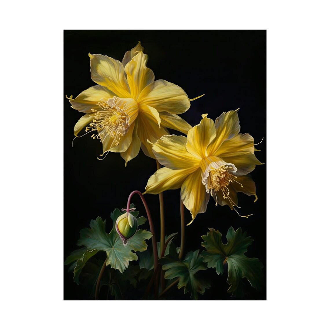 Golden Columbine Yellow Blooms Bud Dark Elegant Floral Poster - Image 4