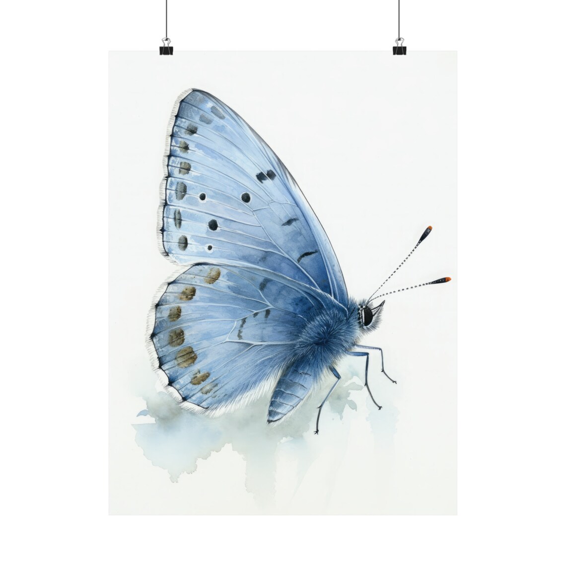 Pale Blue Butterfly Side Profile Watercolor Insect Painting Art Print - Image 5