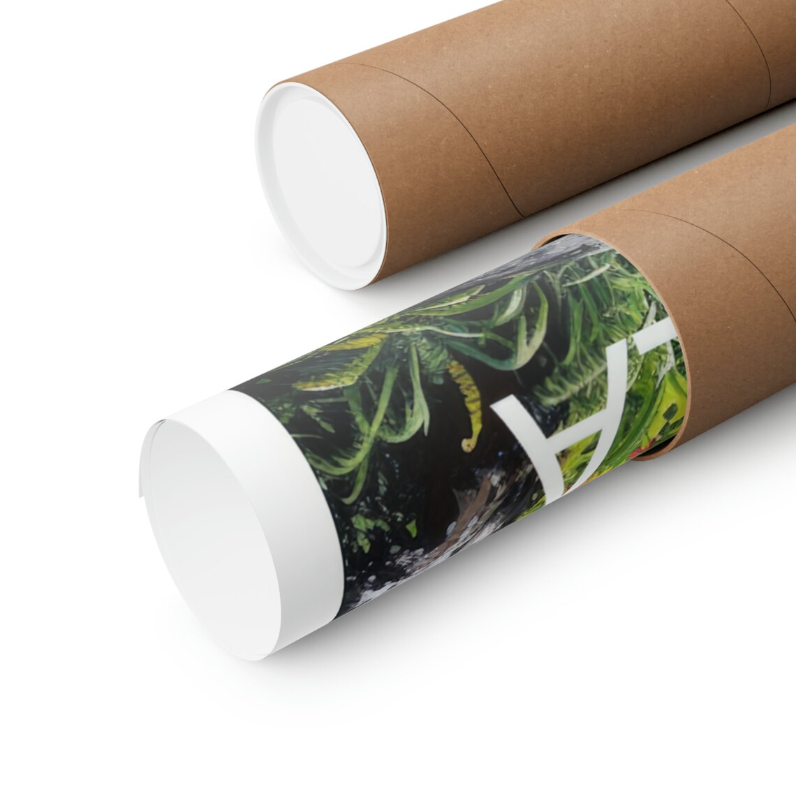 Haleakala National Park Lush Green Valley Tropical Scenic View Poster - Image 2